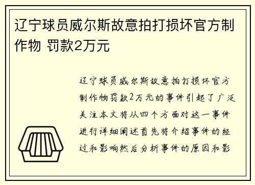 辽宁球员威尔斯故意拍打损坏官方制作物 罚款2万元